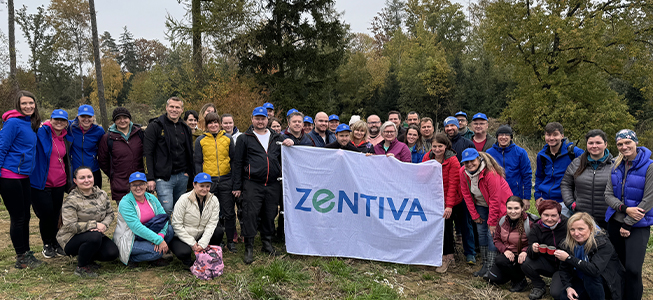 Zaměstnanci Zentivy zasadili přes 3100 stromů